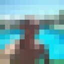 ���������� ���������, ���� ������� ����, 34 ����, ������������ ��� ������, c�������� ���������, ���������