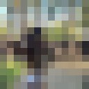 ���������� ������, ���� ������� ������, 26 ���, ������������ ��� ������, ����� � ���������, c�������� ���������, ���������