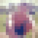 ���������� ������, ���� ������� �����, 34 ����, ������������ ��� ������, ����� � ���������, c�������� ���������