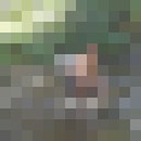  ,   , 39 ,   