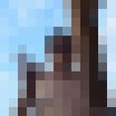 ���������� ���, ���� ������� �����, 33 ����, ������������ ��� ������, ����� � ���������