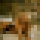 ���������� ������, ���� ������� �����, 23 ����, ������������ ��� ������, ����� � ���������