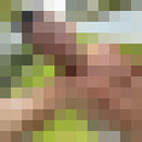 ���������� ������, ���� ������� �������, 31 ���, ������������ ��� ������, ����� � ���������, ���������