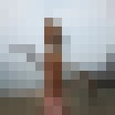 ���������� ����-�����������, ���� ������� ������, 44 ����, ������������ ��� ����� � ���������, c�������� ���������, ���������