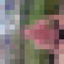  ,   , 45 ,   