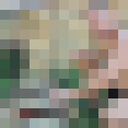  ,   , 56 ,   , 
