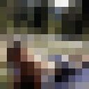 ���������� ������, ���� ������� ��������, 38 ���, ������������ ��� ����� � ���������, c�������� ���������