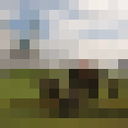  ,   , 50 ,   