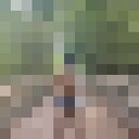  -,   , 33 ,   ,   , c , 