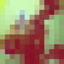  ,   0557185030, 28 ,   , 