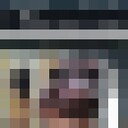 ���������� ��������, ���� ������� �����, 52 ����, ������������ ��� ������, ����� � ���������