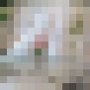  -,   , 45 ,   ,   , 