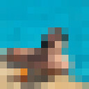  ,   Ceraeen, 35 ,   ,   