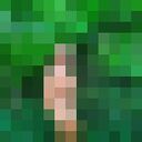 ���������� �������, ���� ������� ������, 47 ���, ������������ ��� ����� � ���������, c�������� ���������