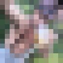  ,   , 51 ,   ,   , c 