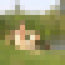  ,   , 51 ,   ,   , c , 