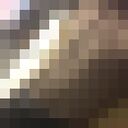  -,   , 19 ,   ,   