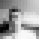 ���������� ������, ���� ������� �����, 29 ���, ������������ ��� ������, ����� � ���������