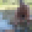  ,   , 49 ,     , c 