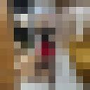  ,   , 36 ,   , 