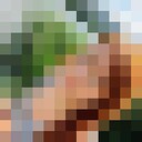 ���������� ������, ���� ������� ����������, 35 ���, ������������ ��� ����� � ���������, c�������� ���������