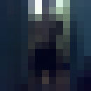  ,   068205977, 36 ,   
