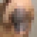  ,   Alexander, 31 ,   