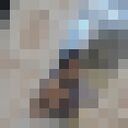 ���������� ���������, ���� ������� ����, 22 ����, ������������ ��� ������, ����� � ���������