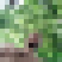  ,   Mihsa, 34 ,   ,   , c 
