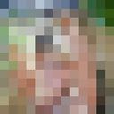  ,   Pink SEX, 31 ,   