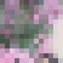  -,   , 42 ,     , c 