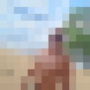  ,   Alex, 38 ,   ,   , c 