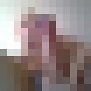 ���������� ������, ���� ������� ��������, 49 ���, ������������ ��� ����� � ���������, c�������� ���������