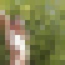  -,   , 49 ,   ,   , c 