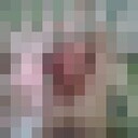  ,   , 37 ,   c 