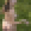 ���������� ������, ���� ������� Nina, 41 ���, ������������ ��� ���������