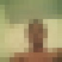  -,   , 45 ,   