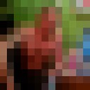  -,   , 43 ,   ,   , c 