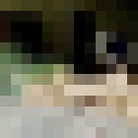  --,   , 52 ,   ,   , c , 