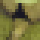 ���������� �����, ���� ������� ������, 33 ����, ������������ ��� ���������