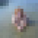 ���������� �������, ���� ������� ��������, 34 ����, ������������ ��� ���������