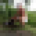 ���������� ���������, ���� ������� ������, 31 ���, ������������ ��� ������, ����� � ���������, c�������� ���������