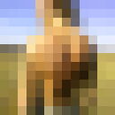  ,   Florian, 36 ,     , c 
