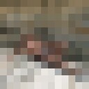 ���������� ����, ���� ������� ���������, 40 ���, ������������ ��� ������, ���������