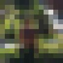 ���������� ������, ���� ������� ������, 38 ���, ������������ ��� ������, ����� � ���������, c�������� ���������