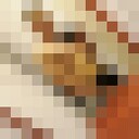 ���������� �����������, ���� ������� ���������, 29 ���, ������������ ��� ������, ����� � ���������