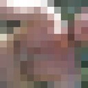  --,   , 34 ,   ,   , c , 