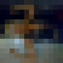  -,   , 51 ,   ,   , c 