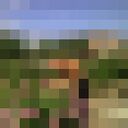 ���������� ��������, ���� ������� ��������, 50 ���, ������������ ��� ������, ���������