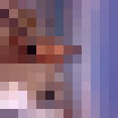  ,   Timur, 38 ,  